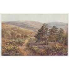 WEBBERS POST EXMOOR Artist Brian Gerald mid 20th C. PC BAMFORTH A. 913