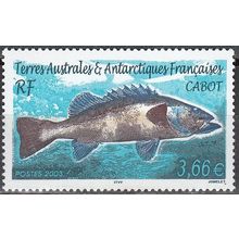 TAAF 2003 Michel 505 Neuf ** Cote (2005) 14.50 € Poisson Cabot