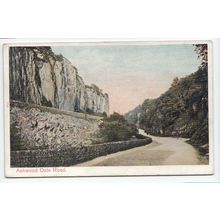 Ashwood Dale Road Nr Buxton Derbyshire Postcard Peacock Brand Series