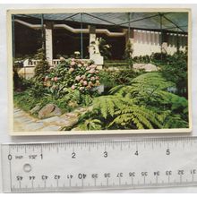1961 Portugese postcard Cold Greenhouse, Lake near the Gallery