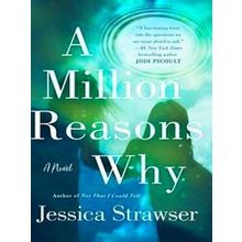A Million Reasons Why A Novel