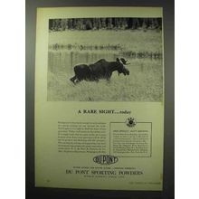 1950 Du Pont Sporting Powders Ad - A Rare Sight