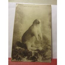 LA MARMOTTE, SAVOIE, FRANCE unused antique postcard #
