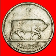 Ⰶ GREAT BRITAIN (1951-1968): IRELAND ★ 1 SHILLING 1966 BULL★LOW START★NO RESERVE