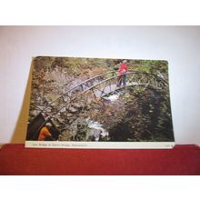 IRON BRIDGE, , DEVIL'S BRIDGE, Aberystwyth unused postcard by E T W Dennis =