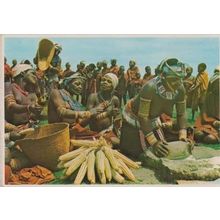 Africa Harvest Festival Pondo African Girls Transkei Maize Ceremony Postcard