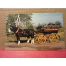 CHAR-A-BANC, BATH CARRIAGE MUSEUM. SOMERSET unused vintage postcard #