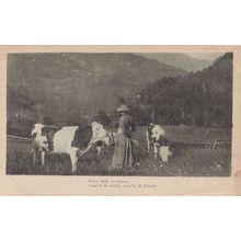 Italian Lady With Farm Cows Italy 1918 WW1 Postcard