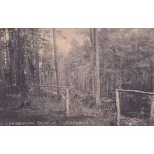 Gumbinnen Partie In Tichtenwalde Prussia Antique Postcard