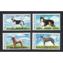 Moldova Dogs 4v 2006 MNH SG#557-560