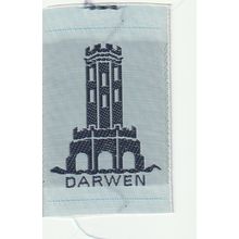 Scout Badge UK - Darwin - Ribbon (BY218)