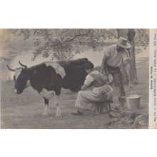 Andre Merchand Woman Milking Cow Antique Painting Postcard
