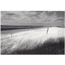 t85 Ile De Re French Electric Fence Farm Field Philippe Pache Postcard