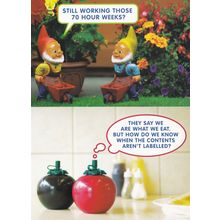 Food Labelling Garden Gnomes European Election Campaign Postcard s