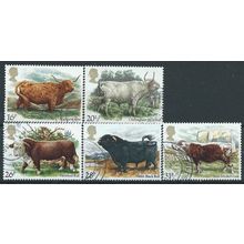 1984 Cattle Set SG1240-1244 Very Fine Used..