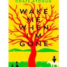 Wake Me When I'm Gone