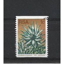 SouthAfrica.SG431 1c Leucadendron Argenteum.Fine Used.Sep25k