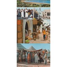 Morocco Provinicial Meeting Tanger 3x Moroccan Postcard s