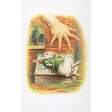 Alice Reaches To White Rabbit In Wonderland Book Postcard