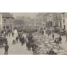 Faringdon Sheep Meat Market Oxford Real Photo Postcard