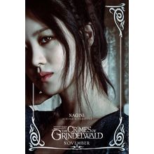 Fantastic Beasts_ The Crimes of Grindelwald (2018)_13 Movie Film Poster Canvas i