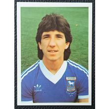 80/81 Daily Star 1981 Sticker -PAUL MARINER IPSWICH TOWN #106