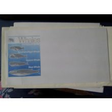 australia whales envelope