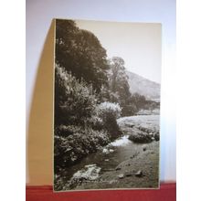 THE STREAM, BOSSINGTON. SOMERSET unused postcard RP by Sweetman =