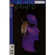 Black Orchid (Vol 2) # 007 NM MODERN AGE COMICS