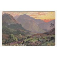 Glen Nevis Looking to Sgor Chalum Oilette Art Postcard 6200