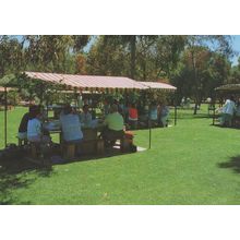 Picnic BBQ Grounds at Barossa Valley Seppeltsfield Australia Postcard