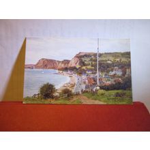 SIDMOUTH FROM the FLAGSTAFF, Devon by A R Quinton unused postcard J. Salmon =