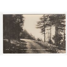 The Lookout on the Knott Arnside Postcard RP Cumbria