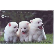 Puppies V7 Japan NTT Phone Card
