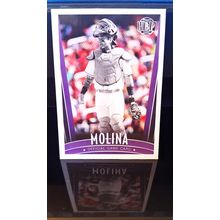 YADIER MOLINA 2017 HONUS BONUS FANTASY BASEBALL CARD #478