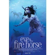 Eve and the Fire Horse (2006)_1 Movie Film Poster Canvas iconic design