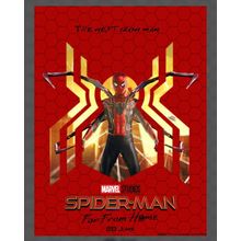 Spider Man Far From Home 38 Poster Canvas Movie Film Print A0 A1 A2 A3 A4 A5 A6