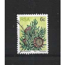 SouthAfrica.SG419 6c Protea Canaliculata.Fine Used.Sep25a