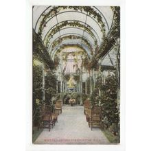 The Winter Gardens Somerleyton Hall Postcard Suffolk