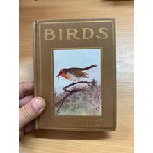 c1940s "BIRDS" M K C SCOTT ILLUSTRATED SMALL HARDBACK BOOK (P3)