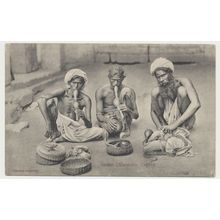 Ceylon Sri Lanka Snake Charmers 1900s postcard "Skeen photo" unused