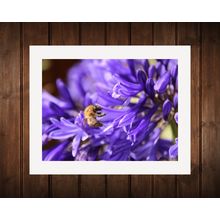 16x12 inch White Mounted Print of Wasp Flower