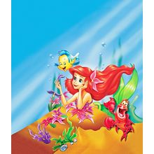 The Little Mermaid 5 Poster Canvas Movie Film Print A0 A1 A2 A3 A4 A5 A6 Art Wal