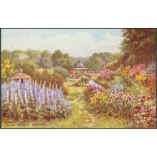 Japanese Garden, Valley Gardens, Harrogate, Yorkshire, c.1960 - Salmon Postcard