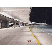 Roadside Teddy Bear To Be Run Over UNIQUE London Photo Agency Art Postcard