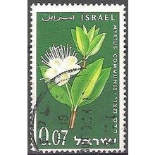Israel 1961 Michel 237 O Cote (2007) 0.30 € Myrte Cachet rond