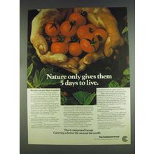 1978 The Continental Group Ad - 5 Days To Live