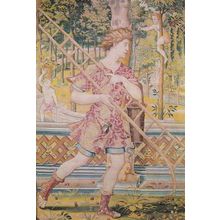 Vertumno & Pomona Lady With Ladder Tapestry Portugal Museum Postcard