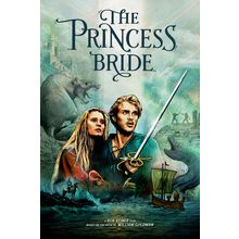 THE PRINCESS BRIDE (1987) 6 Poster Canvas Movie Film Print A0 A1 A2 A3 A4 A5 A6