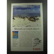 1992 Canon Color Laser Copier Advertisement - Radiated Tortoise